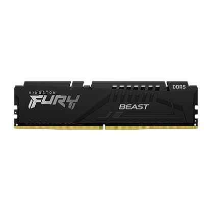 FURY_Beast_Black_DDR5_1-lg.jpg